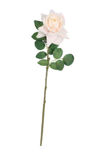 AIDA REAL TOUCH ROSE - CREAM / PEACH
