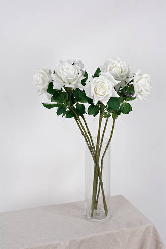 AIDA REAL TOUCH ROSE - WHITE