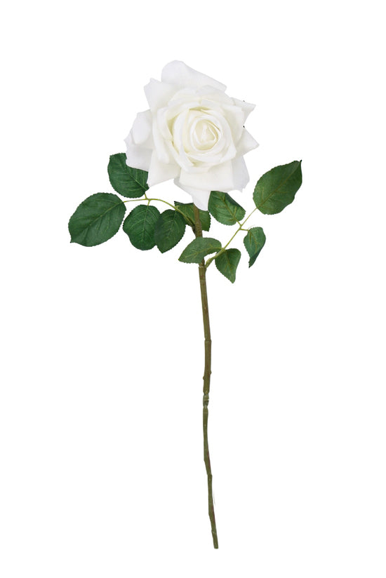 AIDA REAL TOUCH ROSE - WHITE
