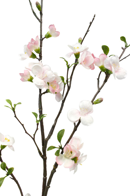APPLE BLOSSOM SPRAY - PINK