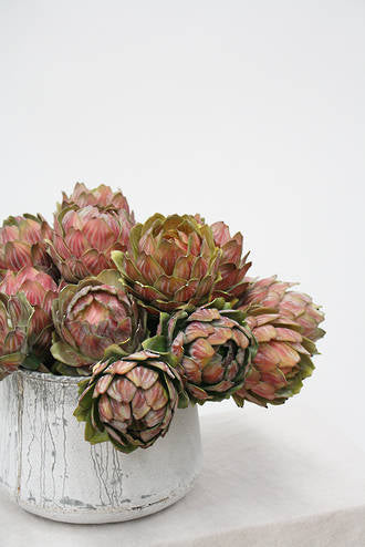 ARTICHOKE - RED / BROWN