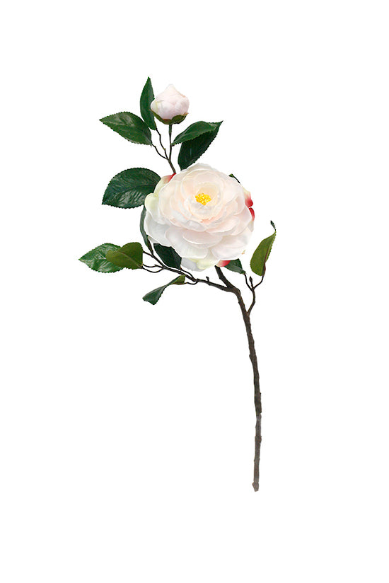 CAMELIA SPRAY - BLUSH