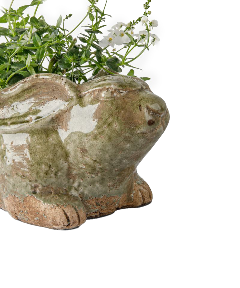 PRE ORDER: CELADON RABBIT PLANTER