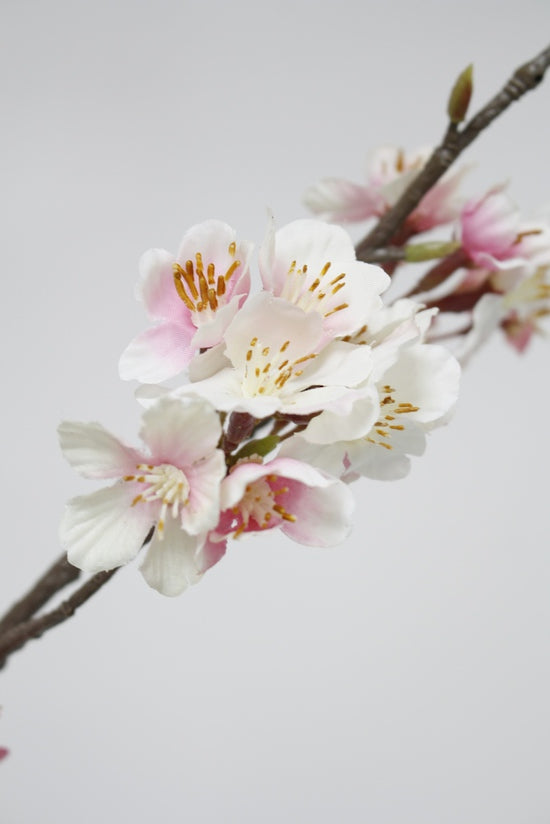 CHERRY BLOSSOM SPRAY - PINK