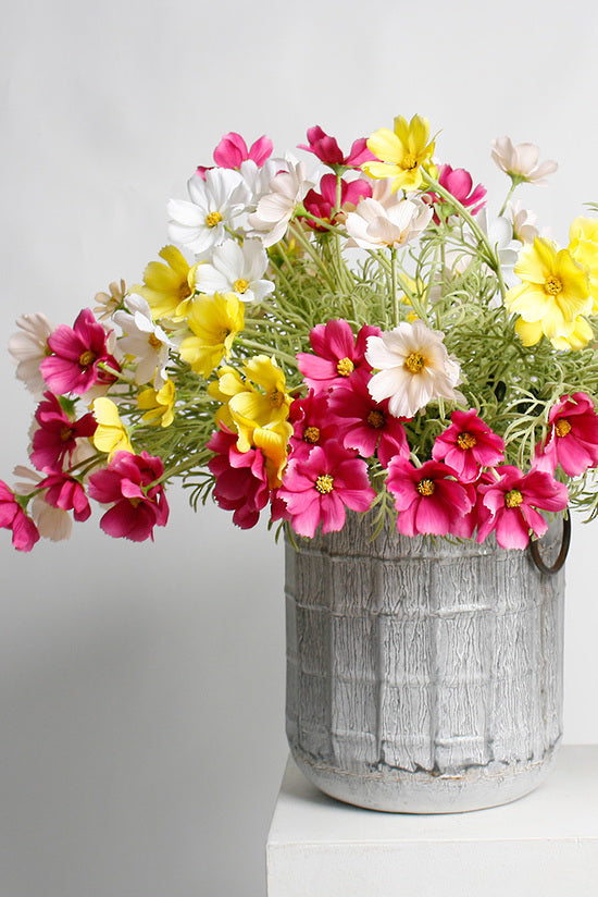 COSMOS SPRAY - FUCHSIA