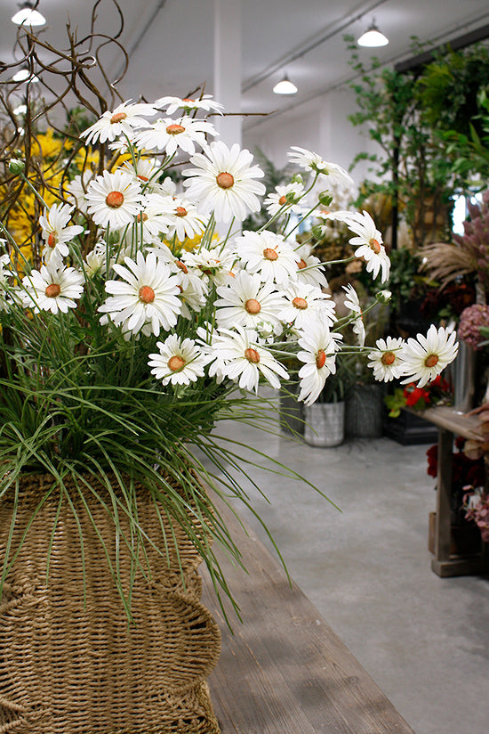 DAISY SPRAY - WHITE