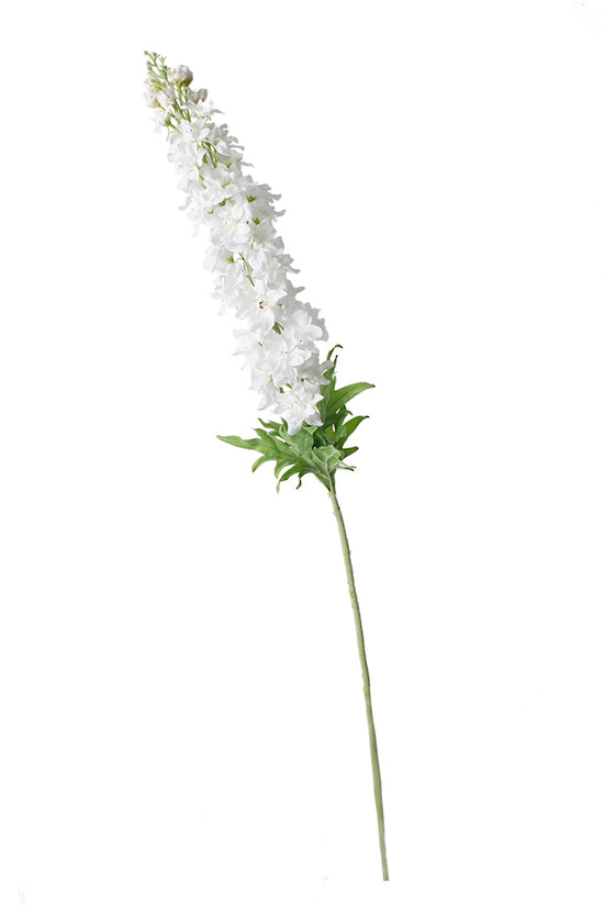 DELPHINIUM SPRAY - WHITE
