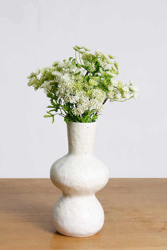 DILL AMMI SPRAY WHITE/GREEN
