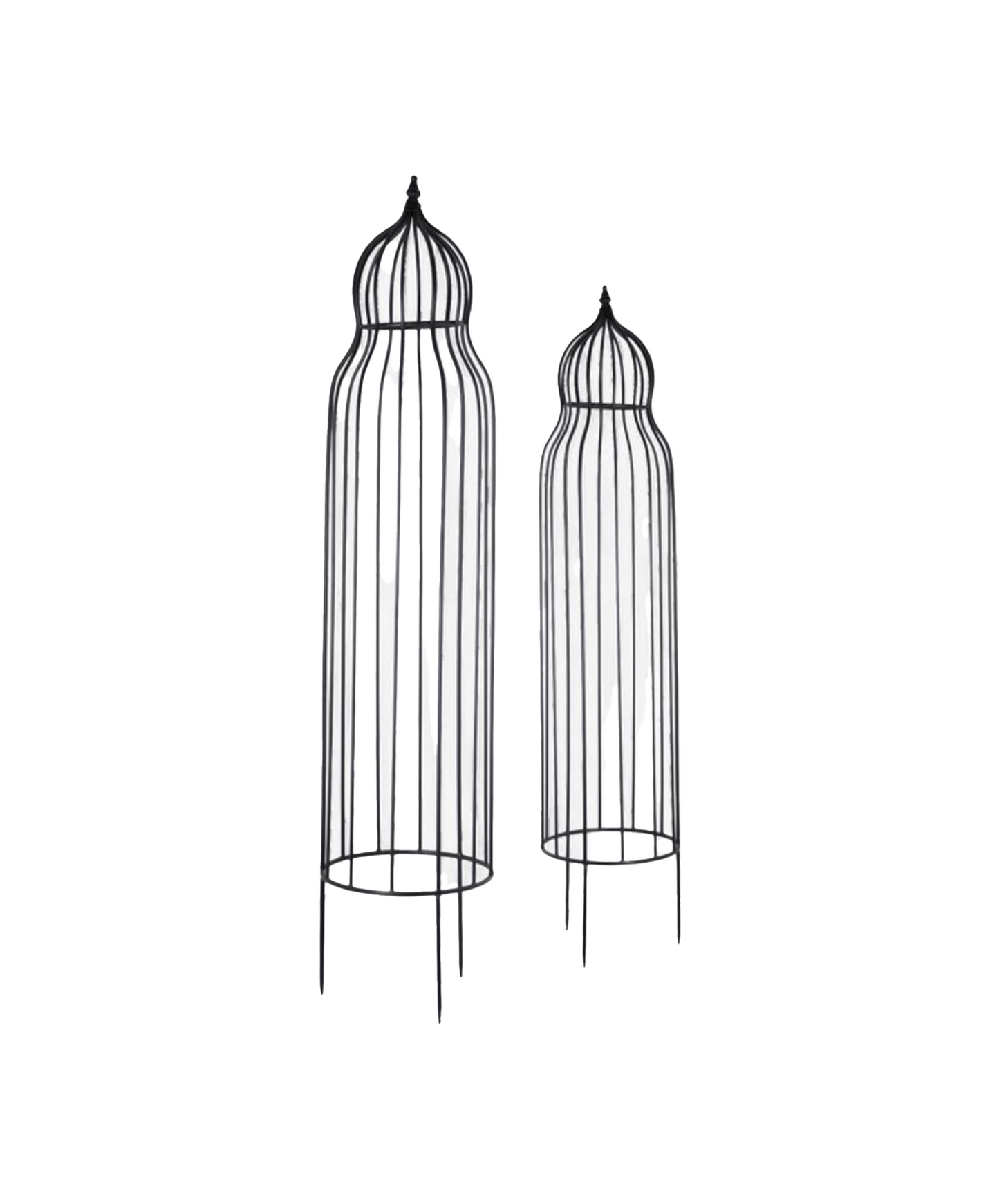 EDEN PLANT TRELLIS - SET OF TWO