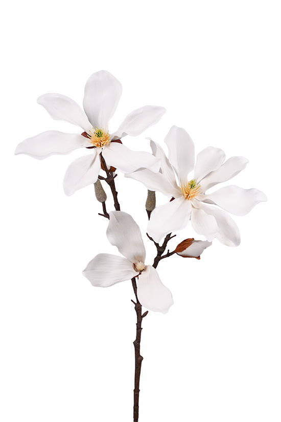 FAIRY MAGNOLIA 78CM STEM - WHITE