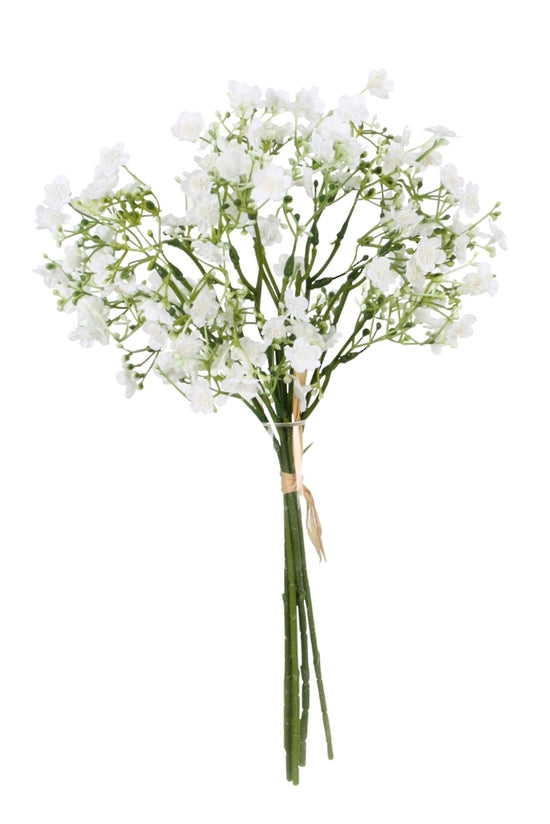 GYPSOPHILA BUNCH