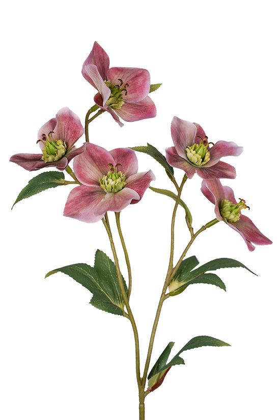 HELLEBORE SPRAY - MAUVE