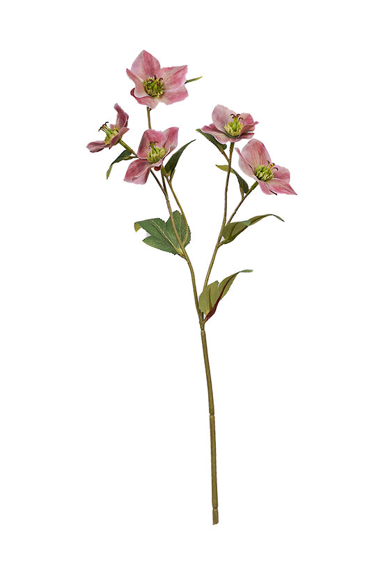 HELLEBORE SPRAY - MAUVE
