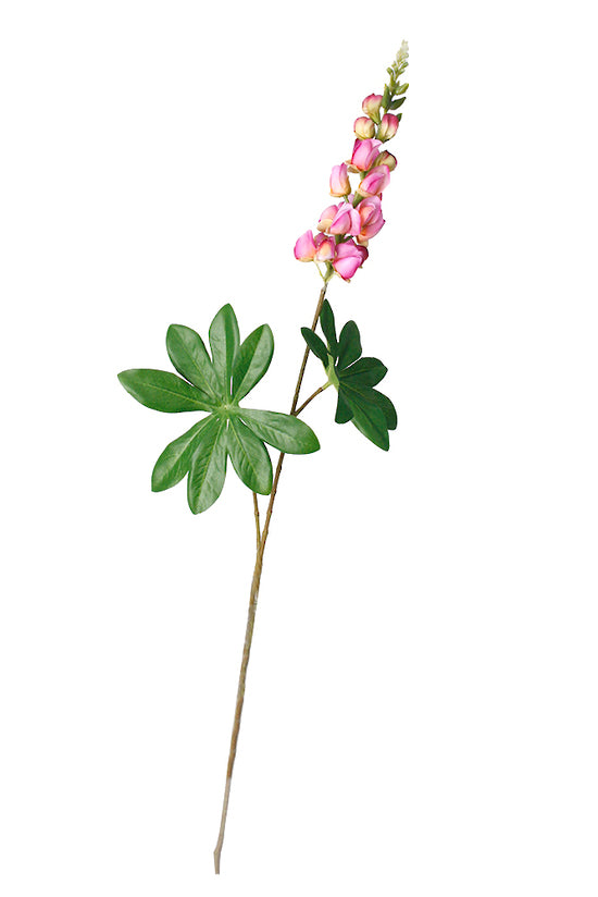 LUPIN SPRAY - PINK