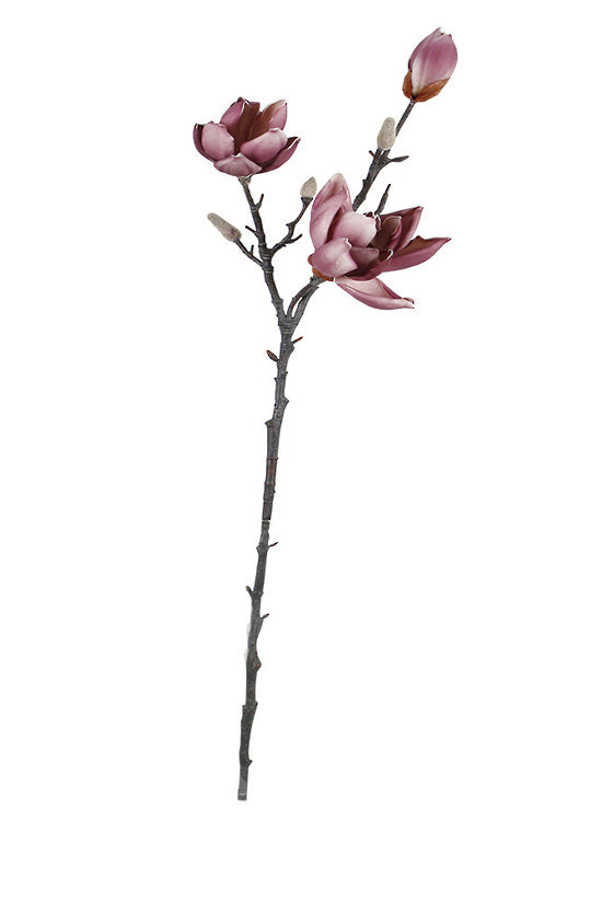 MAGNOLIA SPRAY 79CM STEM - PORT WINE