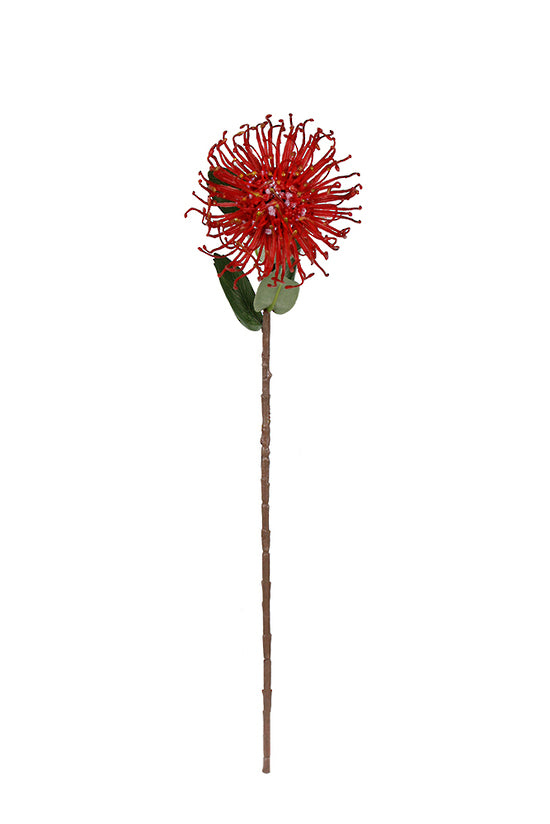 PINCUSHION PROTEA SPRAY