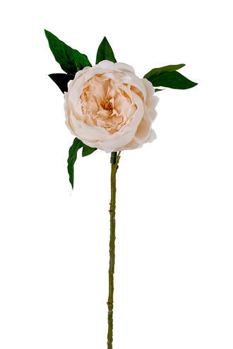 SADIE REAL TOUCH PEONY - CHAMPAGNE