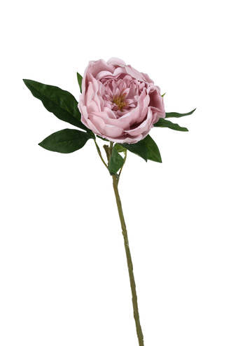 SADIE REAL TOUCH PEONY - PINK