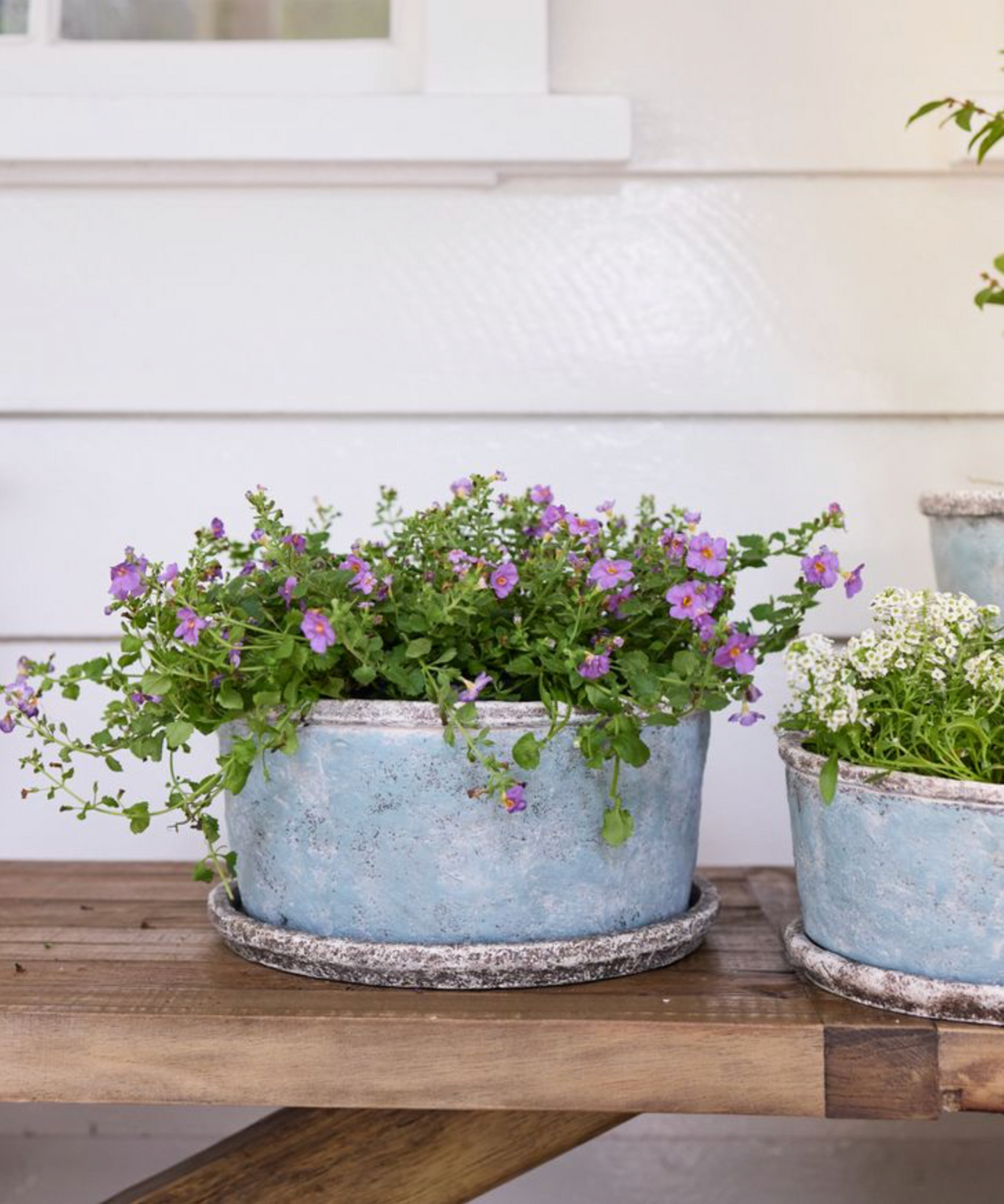 SEA BLUE WIDE PLANT POT & SAUCER - LARGE