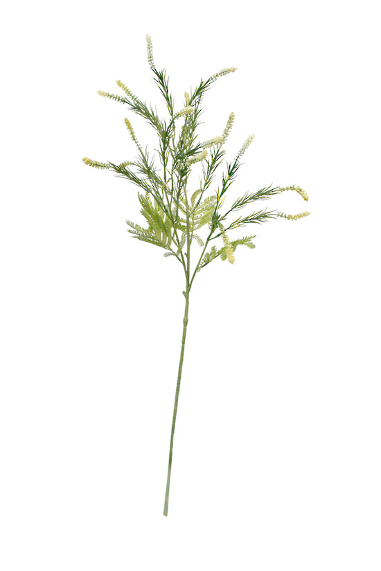 SETARIA SPRAY - CREAM