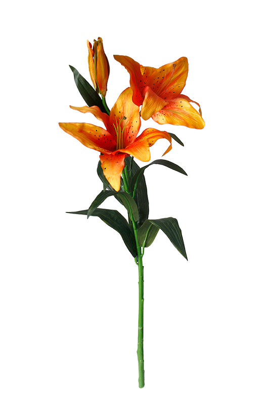TIGER LILY - ORANGE