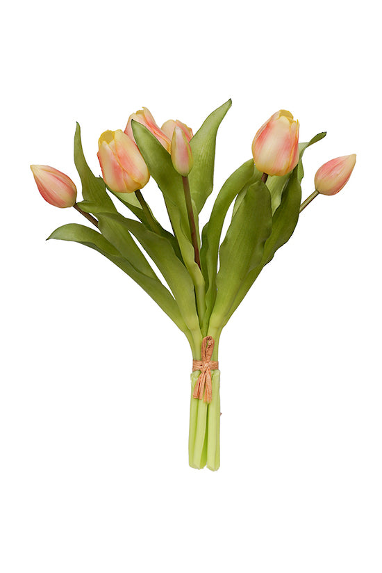TULIP BOUQUET - PEACH
