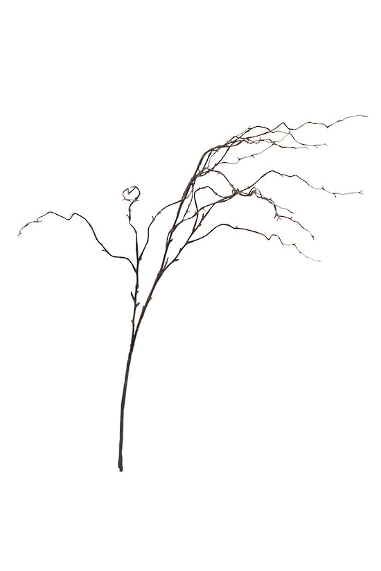 WILLOW BRANCH - BROWN