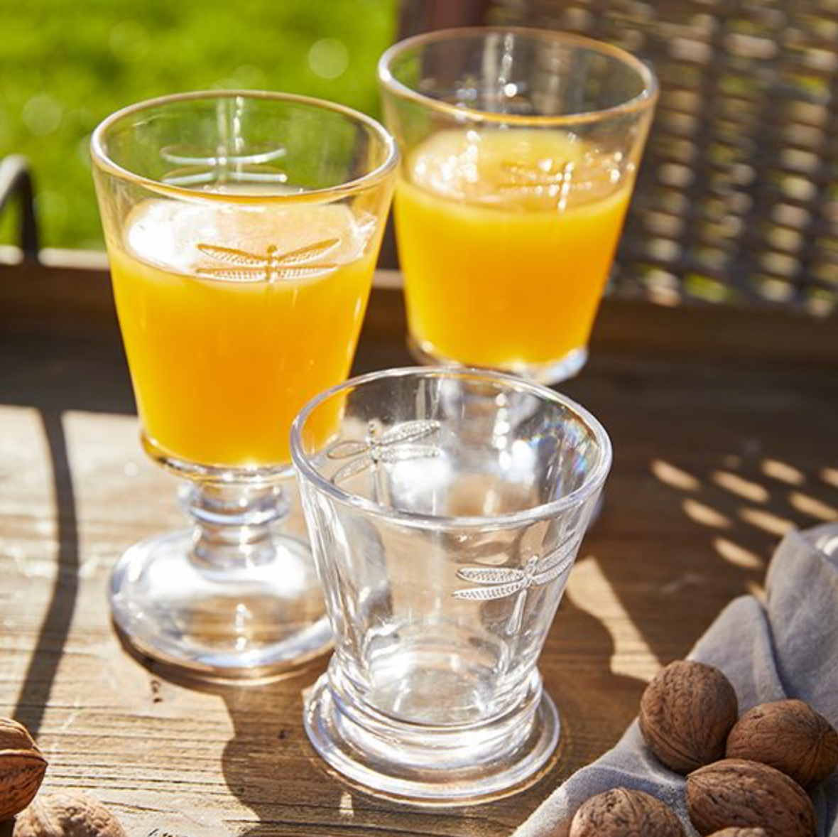 DRAGONFLY TUMBLER - SET OF 4