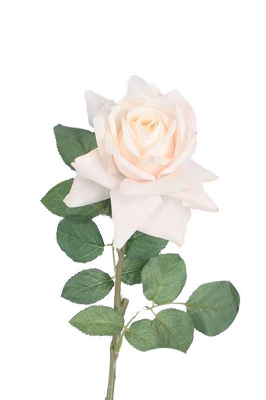 AIDA REAL TOUCH ROSE - CREAM / PEACH