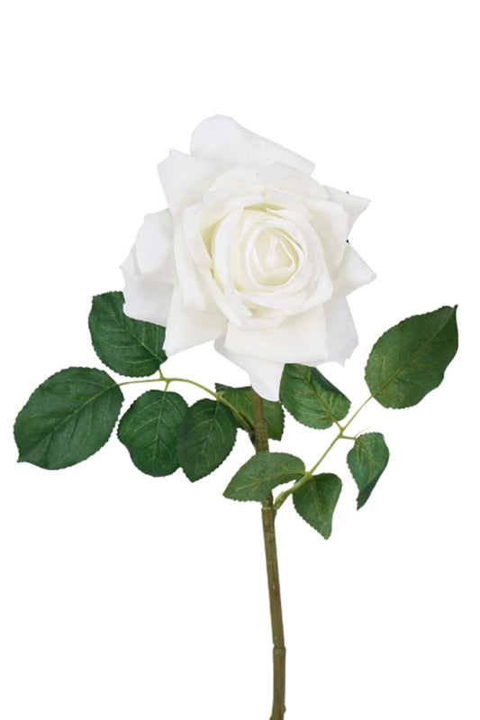 AIDA REAL TOUCH ROSE - WHITE