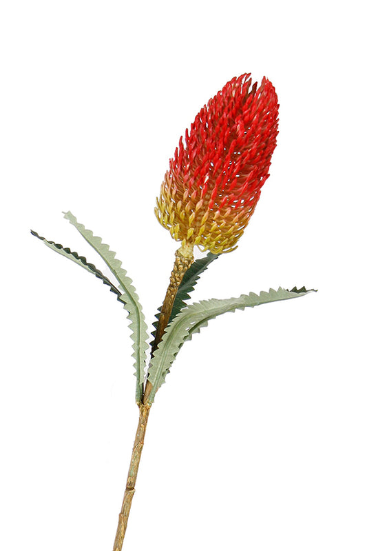 BANKSIA SPRAY - RED