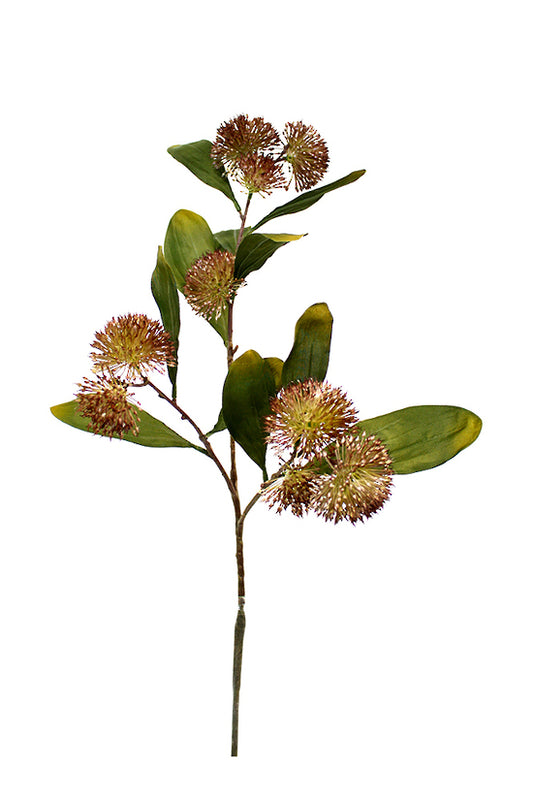 CHINESE SWEET GUM BLOSSOM SPRAY