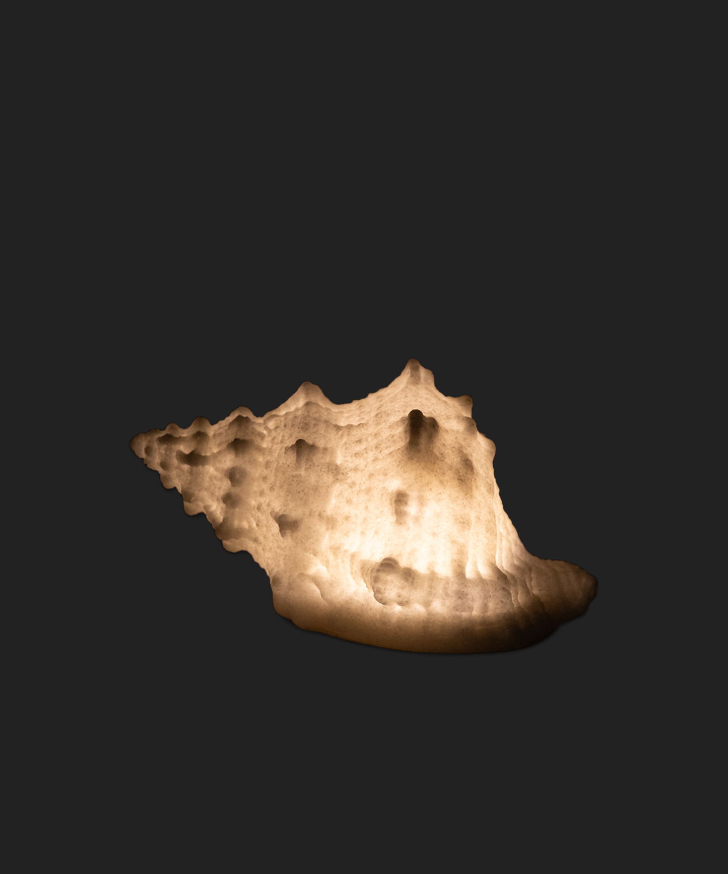 CONCH DECORATIVE SHELL LIGHT