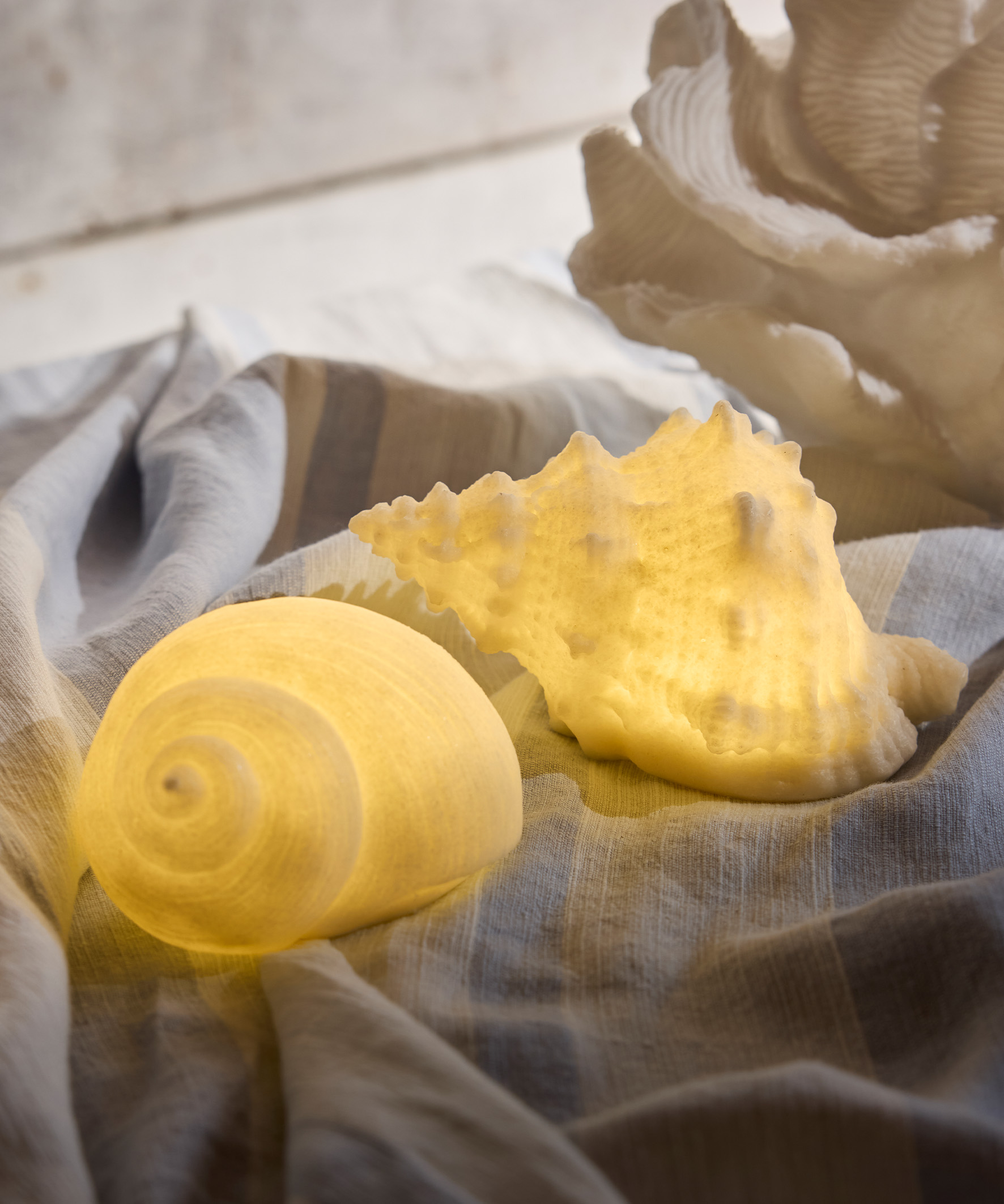 CONCH DECORATIVE SHELL LIGHT – Copperblue Home & Décor