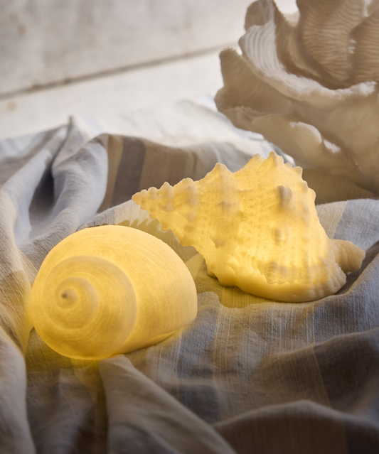 CONCH DECORATIVE SHELL LIGHT