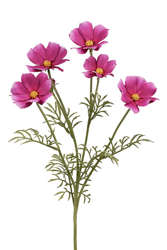 COSMOS SPRAY - FUCHSIA
