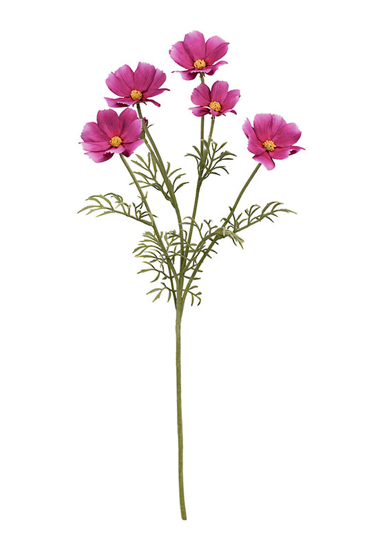 COSMOS SPRAY - FUCHSIA