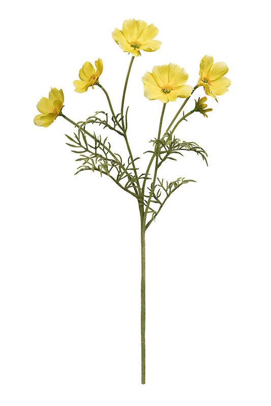 COSMOS SPRAY - YELLOW