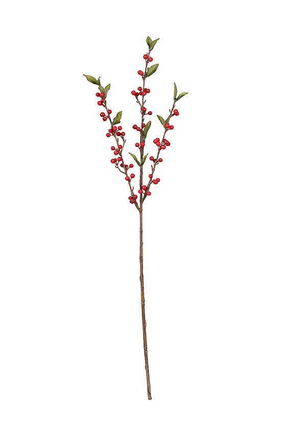 CRANBERRY SPRAY - RED