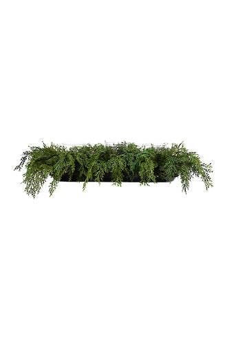 CYPRESS 3 LIGHT CANDLE HOLDER