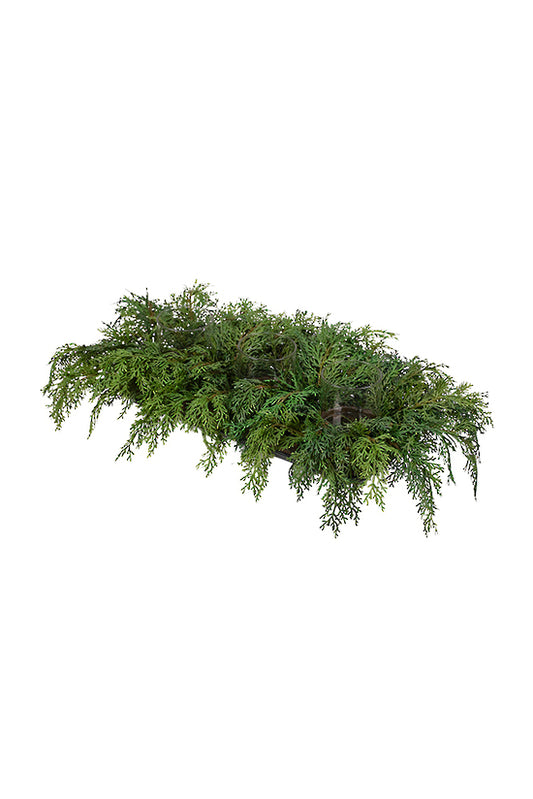 CYPRESS 3 LIGHT CANDLE HOLDER