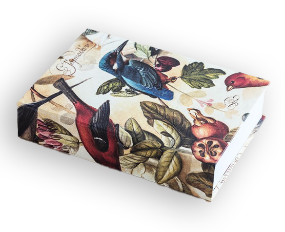 BIRDS JOTTER PAD
