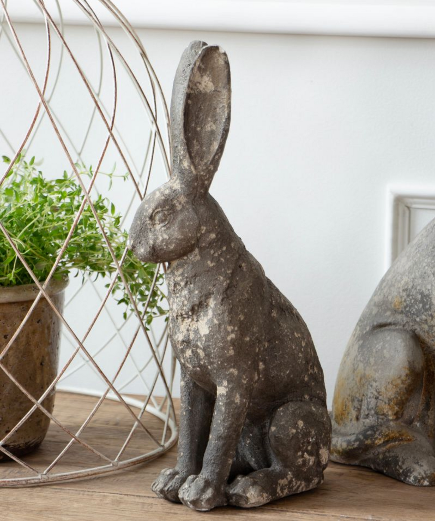OLIVIA HARE
