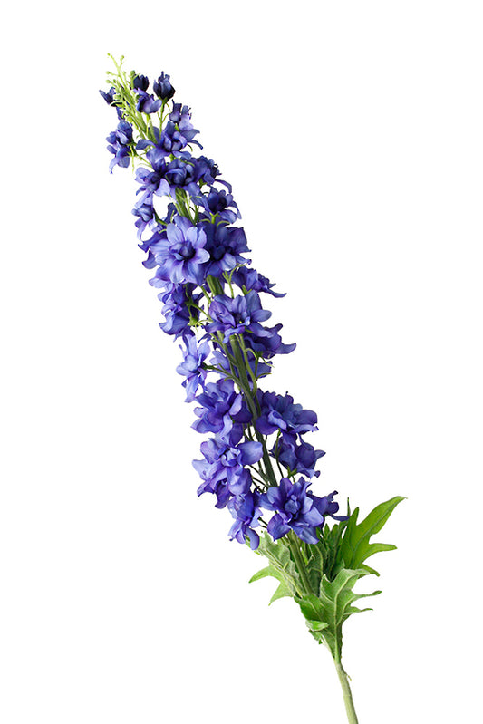 DELPHINIUM SPRAY - DARK BLUE/PURPLE