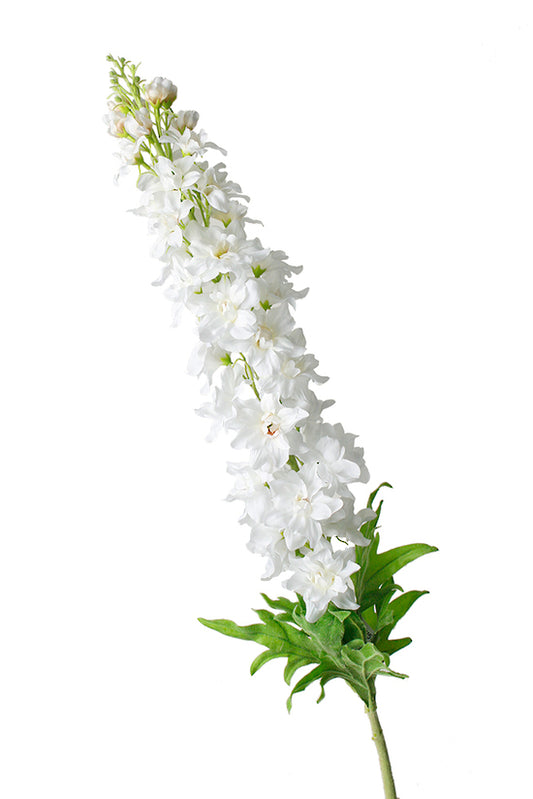 DELPHINIUM SPRAY - WHITE