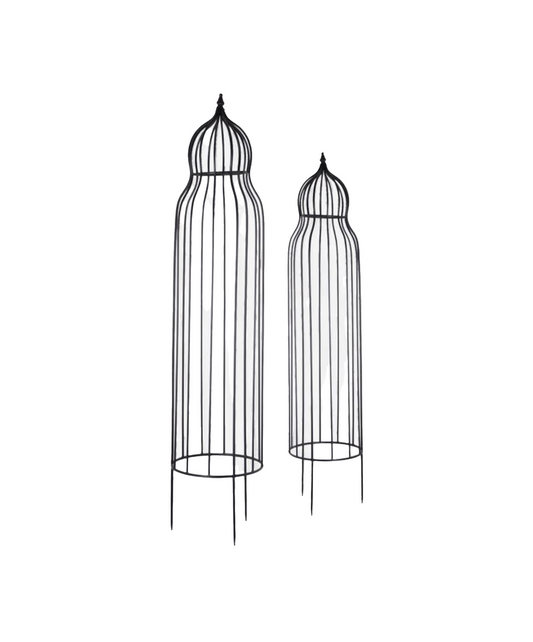 EDEN PLANT TRELLIS - SET OF TWO