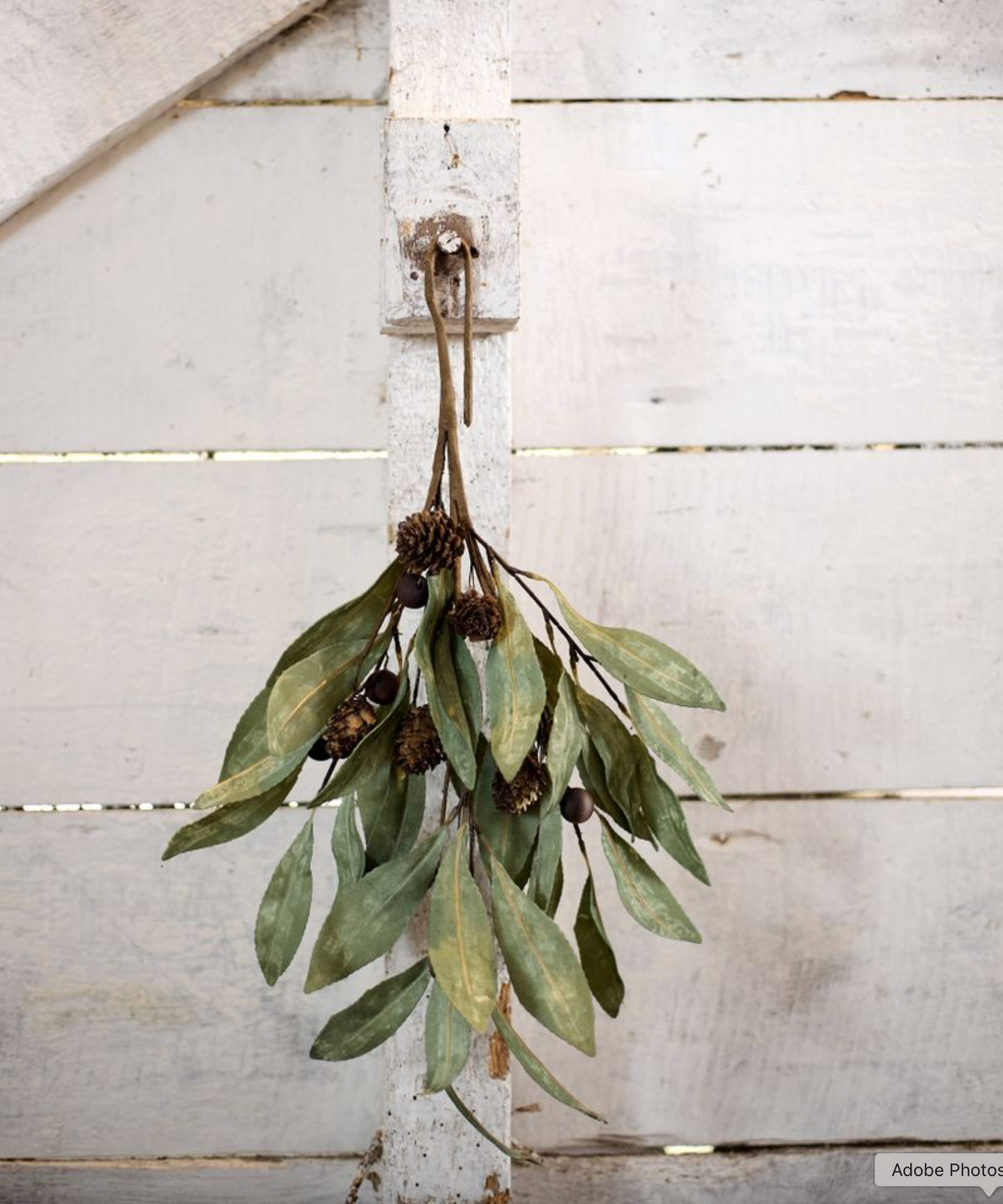 EUCALYPTUS & BROWN WOOD BERRY BRANCH