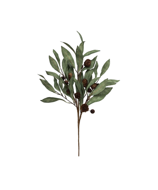 EUCALYPTUS & BROWN WOOD BERRY BRANCH