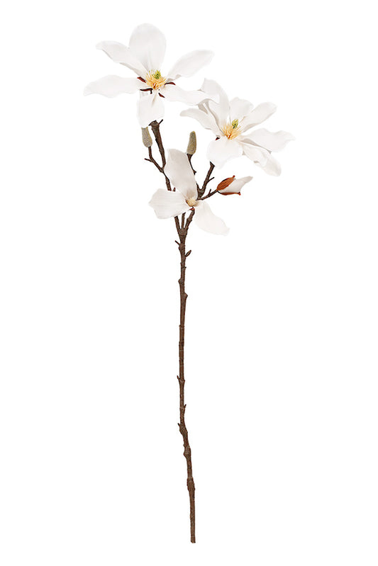 FAIRY MAGNOLIA 78CM STEM - WHITE