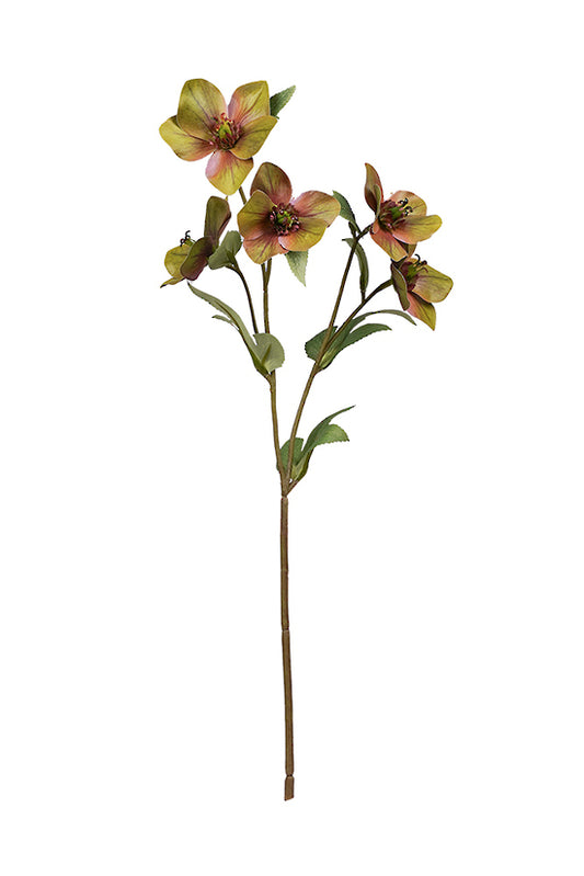HELLEBORE SPRAY - GREEN